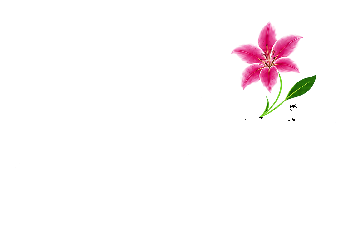 DuBois Bookkeeping LLC logo
